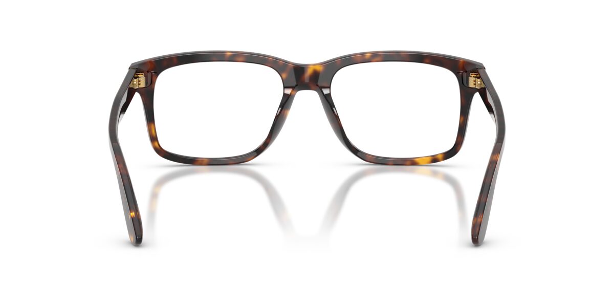 Dolce & Gabbana DG3453 502