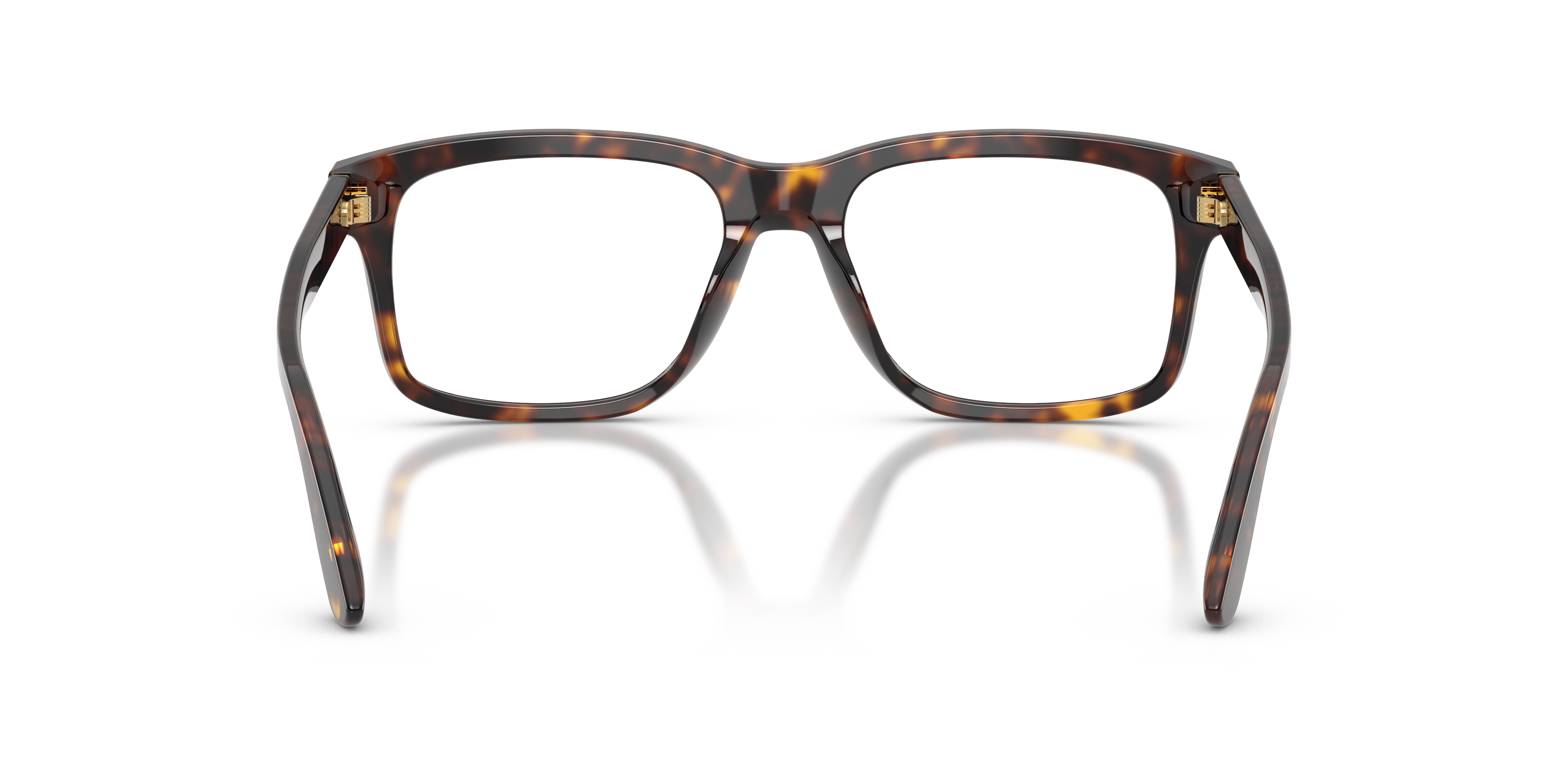 Dolce & Gabbana DG3453 502