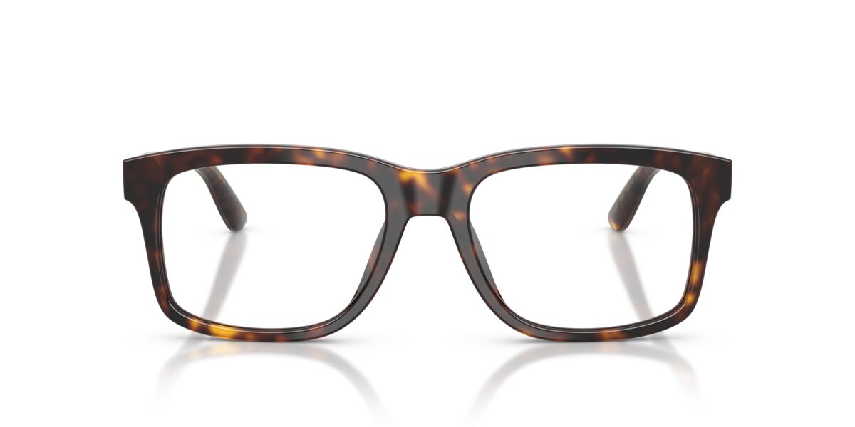 Dolce & Gabbana DG3453 502