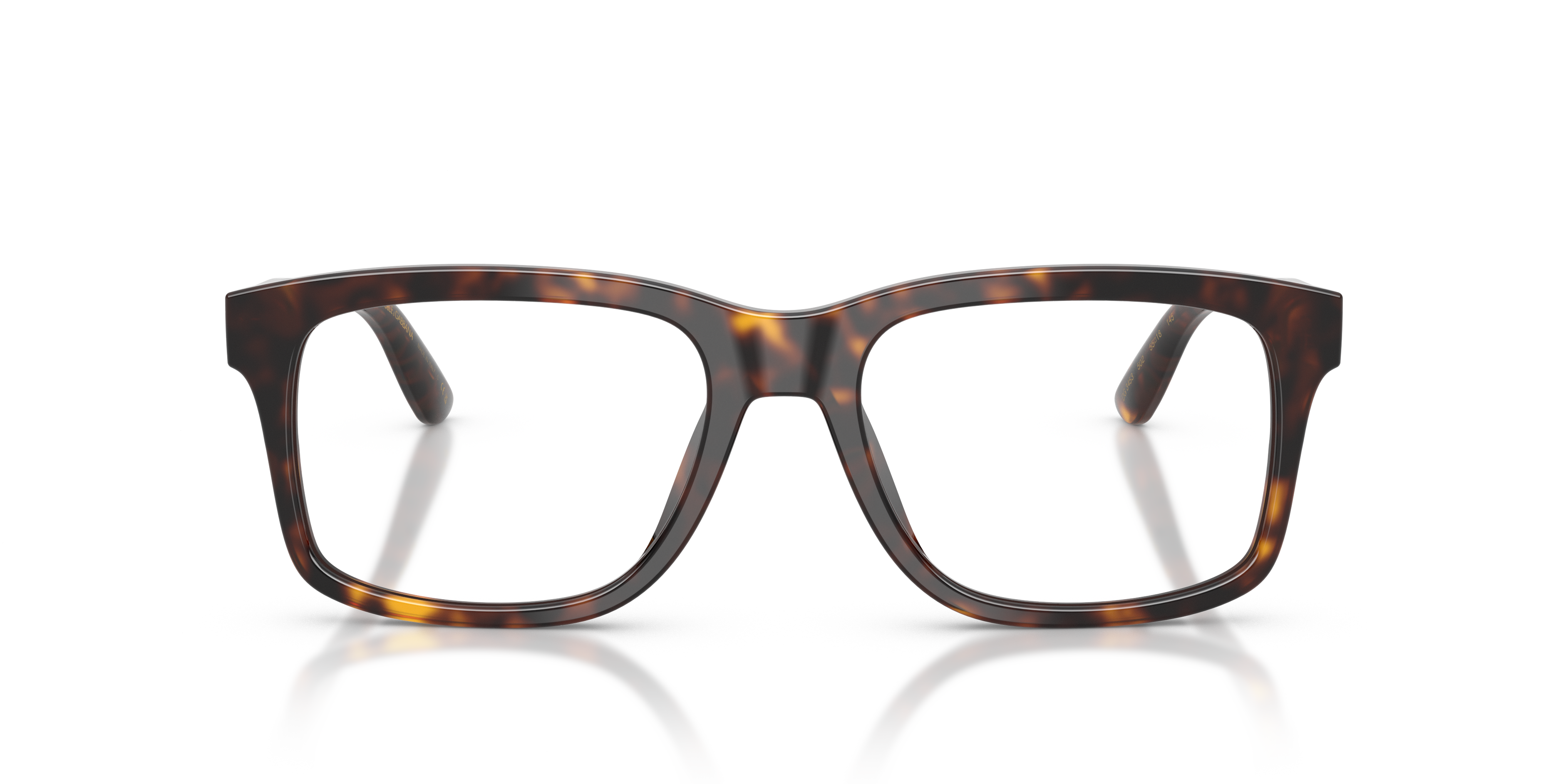 Dolce & Gabbana DG3453 502