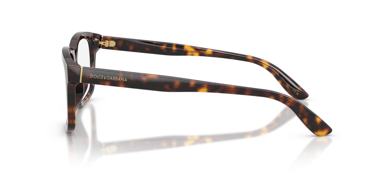 Dolce & Gabbana DG3453 502