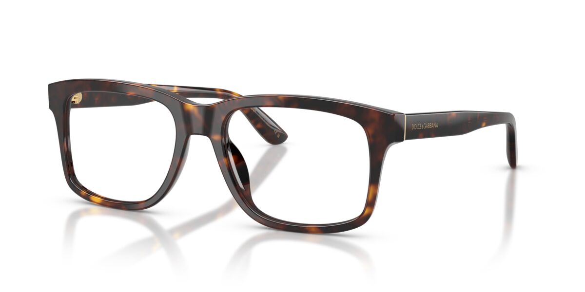 Dolce & Gabbana DG3453 502