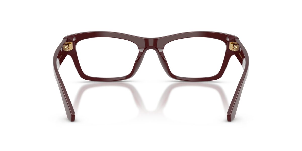 Dolce & Gabbana DG3454 3091
