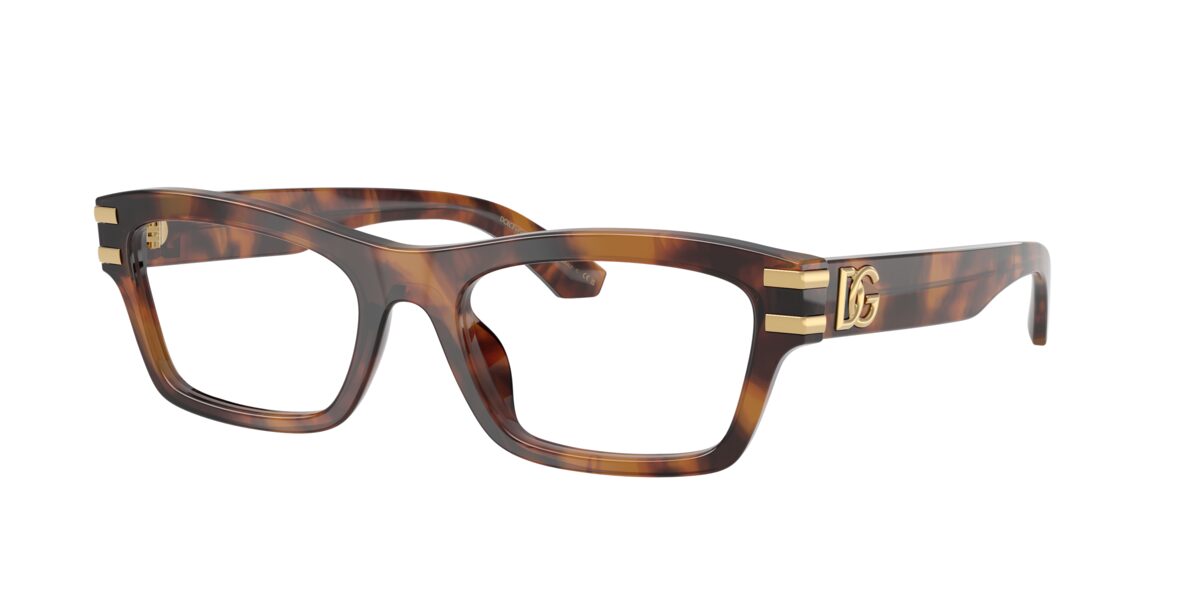 Dolce & Gabbana DG3454 3497