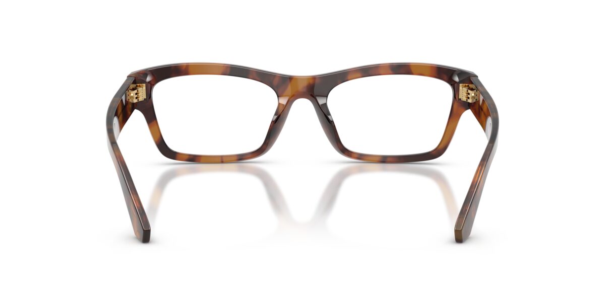 Dolce & Gabbana DG3454 3497