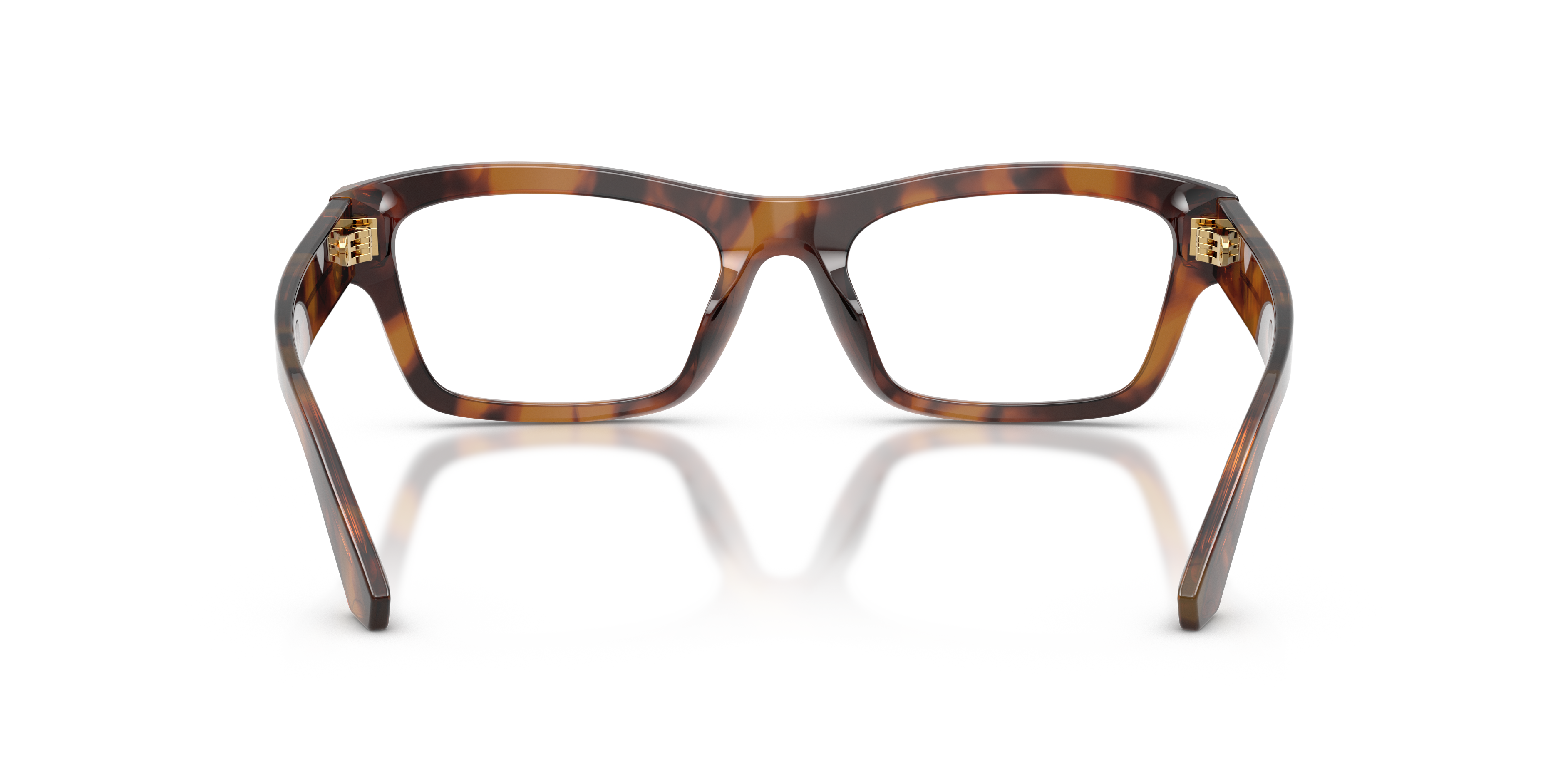 Dolce & Gabbana DG3454 3497