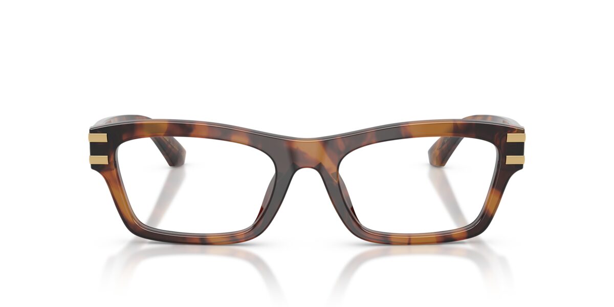 Dolce & Gabbana DG3454 3497