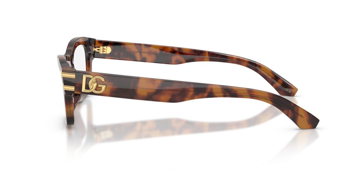 Dolce & Gabbana DG3454 3497