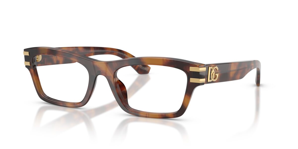 Dolce & Gabbana DG3454 3497