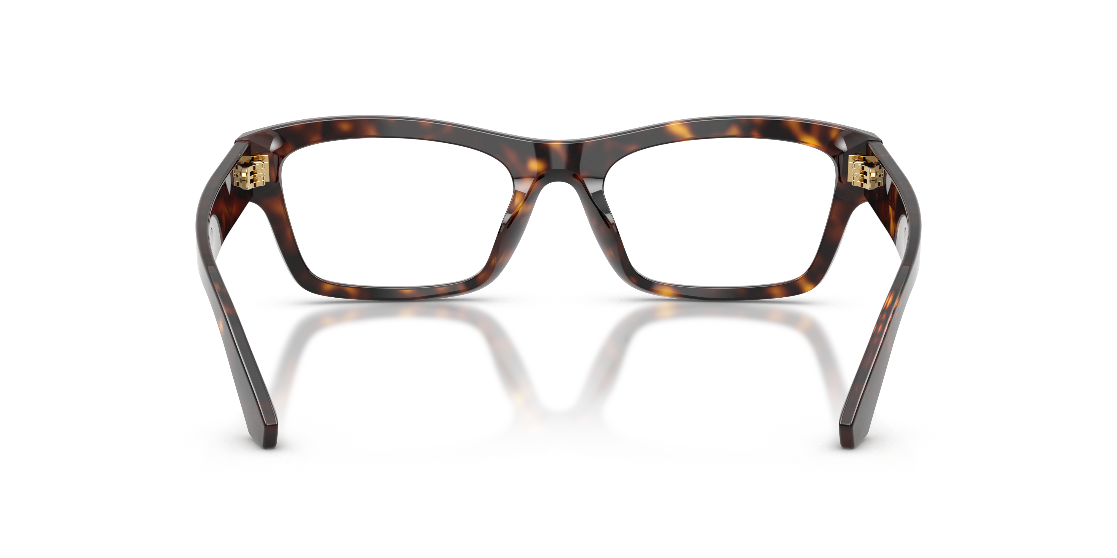 Dolce & Gabbana DG3454 502
