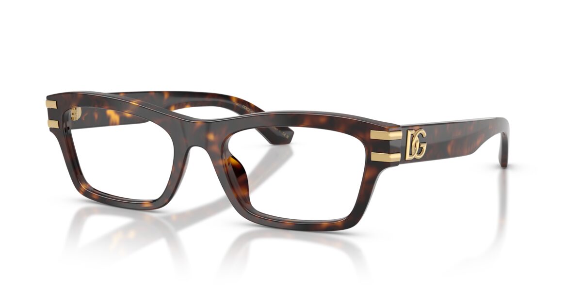 Dolce & Gabbana DG3454 502