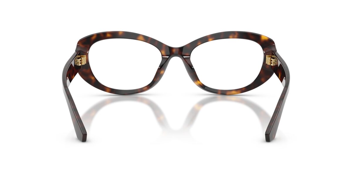 Dolce & Gabbana DG3455 502