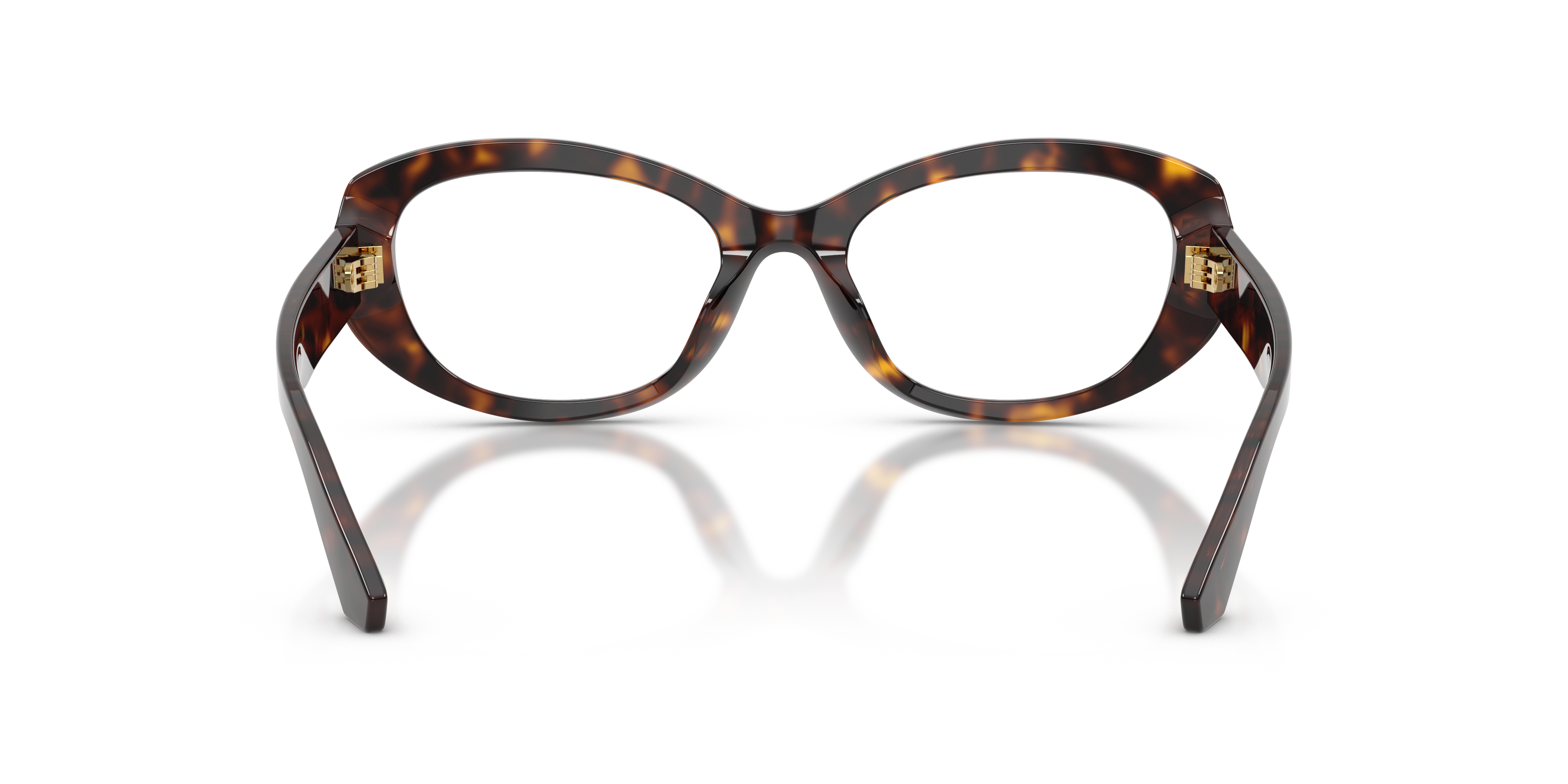 Dolce & Gabbana DG3455 502