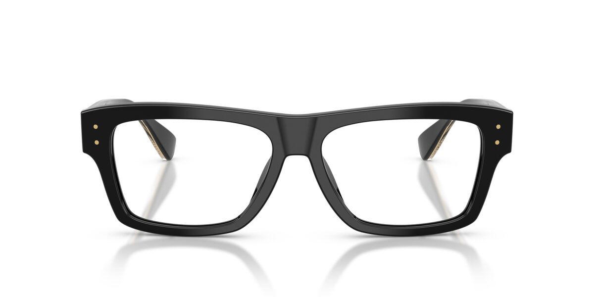 Dolce & Gabbana DG3458 501