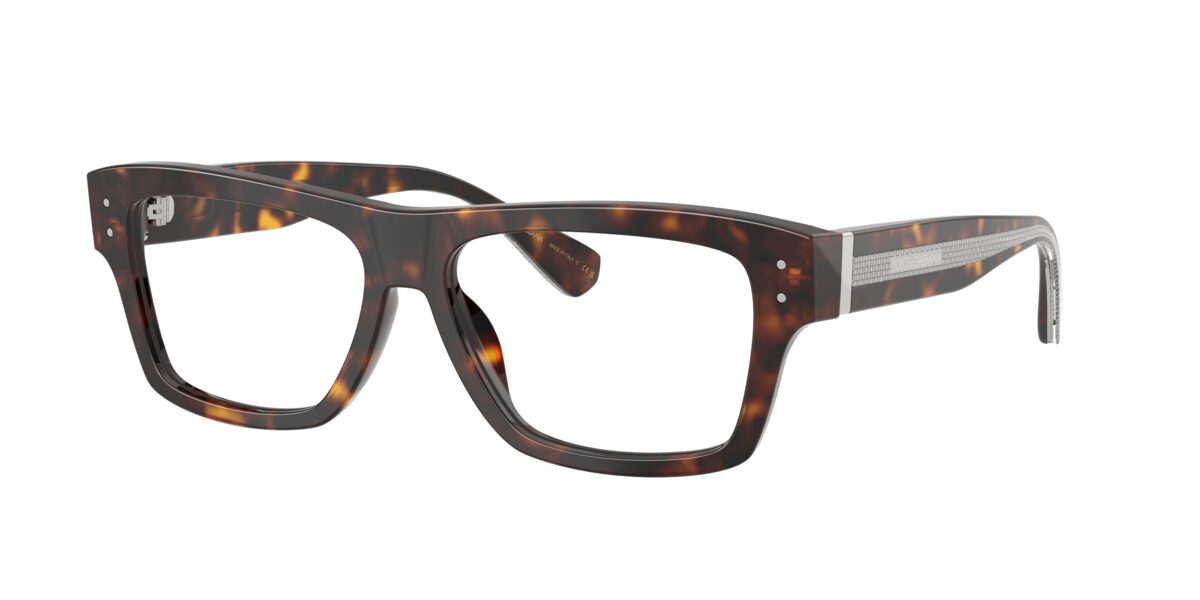 Dolce & Gabbana DG3458 502