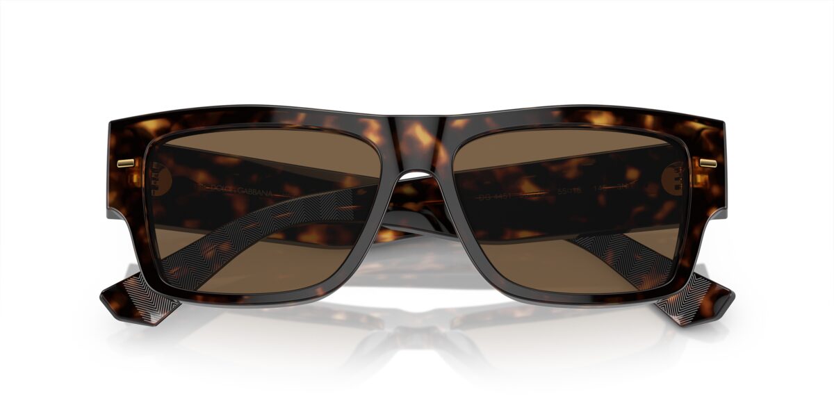 Dolce & Gabbana DG4451 502/73