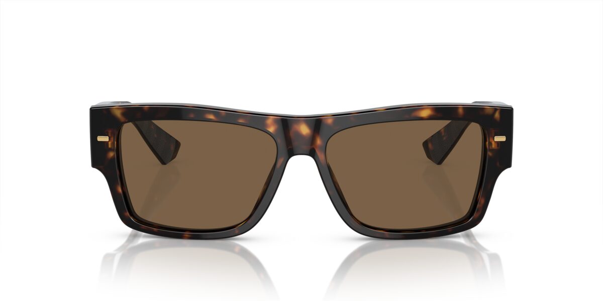 Dolce & Gabbana DG4451 502/73