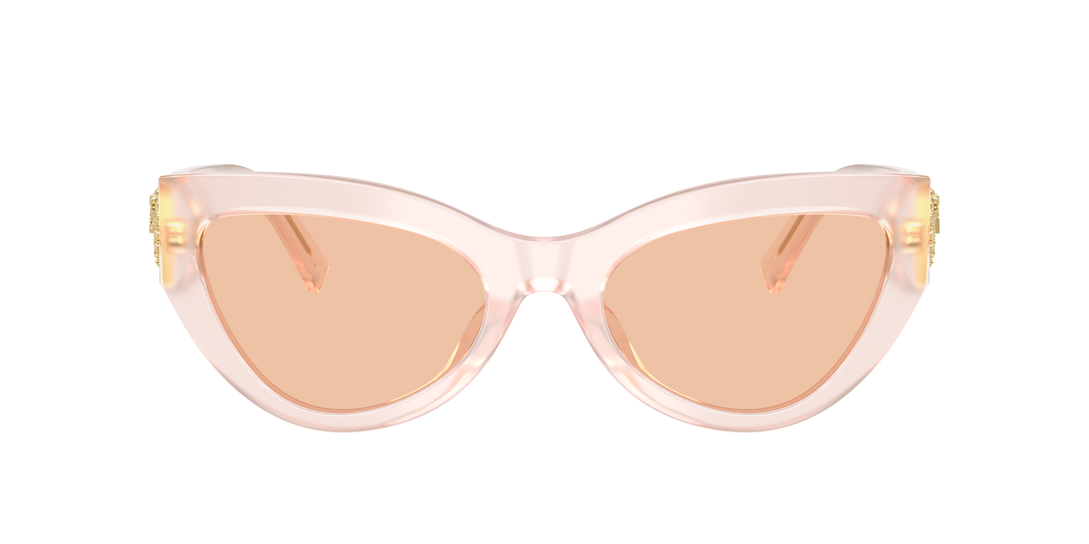 Dolce & Gabbana DG4536 304173