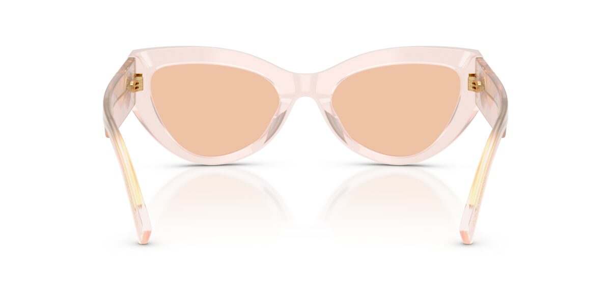 Dolce & Gabbana DG4536 304173