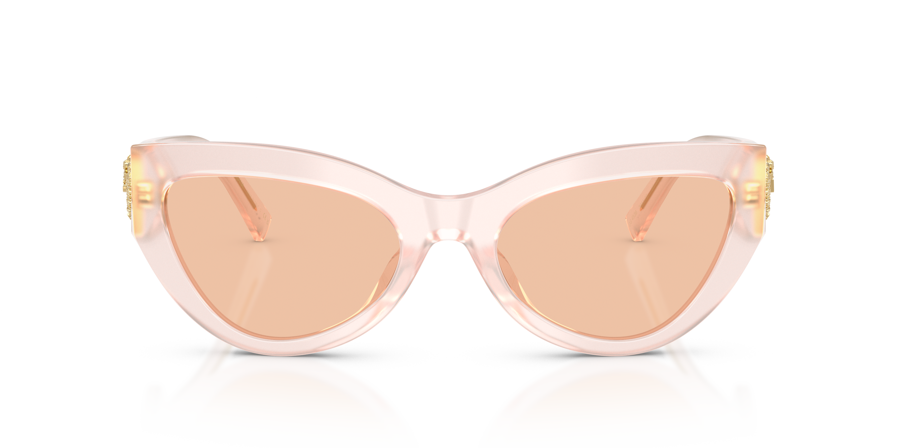 Dolce & Gabbana DG4536 304173