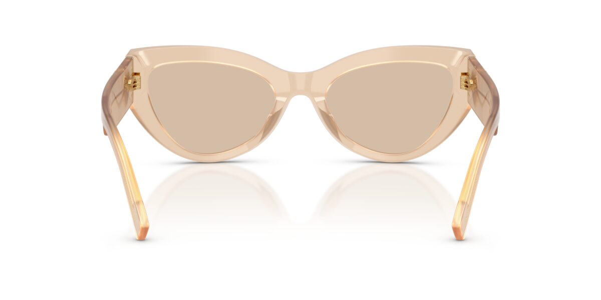 Dolce & Gabbana DG4536 308993
