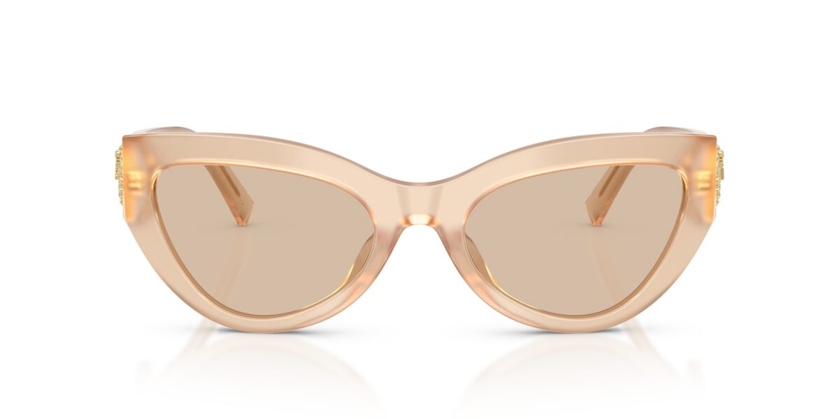 Dolce & Gabbana DG4536 308993