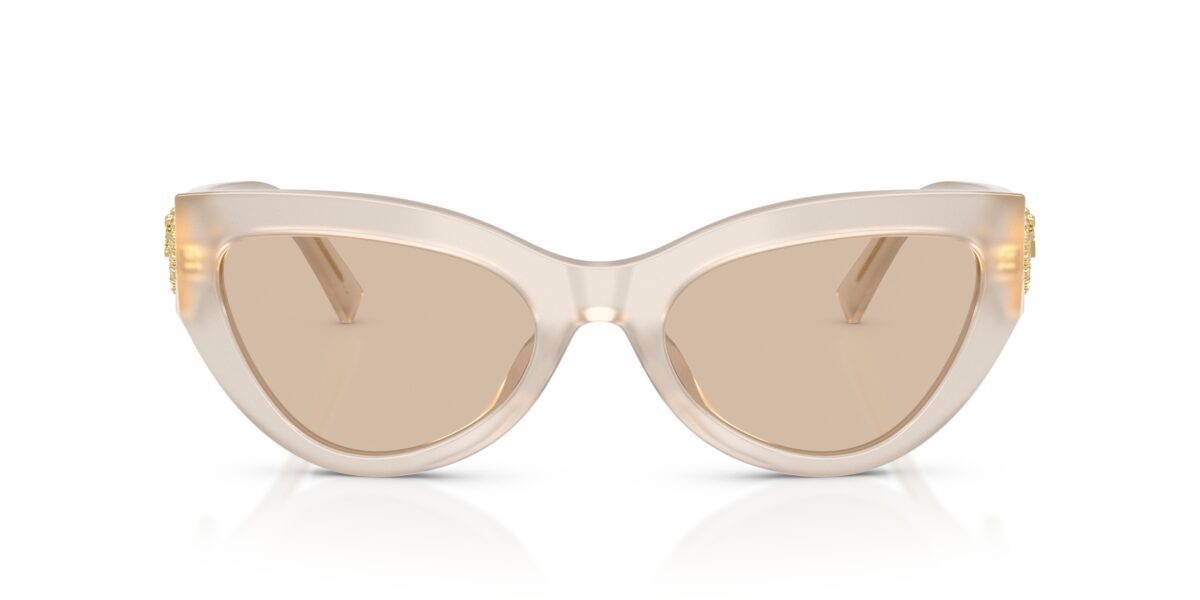 Dolce & Gabbana DG4536 342093