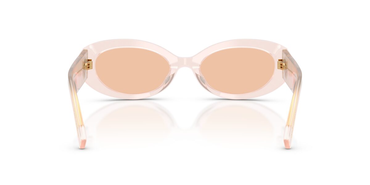 Dolce & Gabbana DG4537 304173