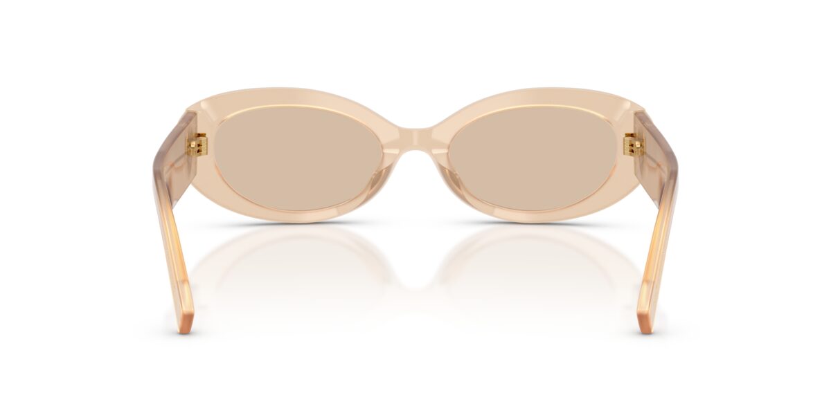 Dolce & Gabbana DG4537 308993