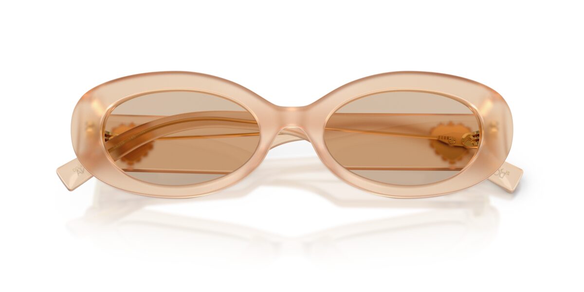 Dolce & Gabbana DG4537 308993