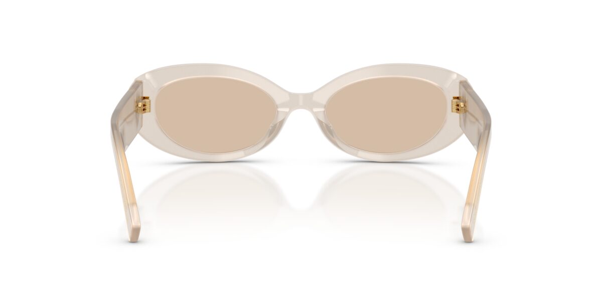 Dolce & Gabbana DG4537 342093