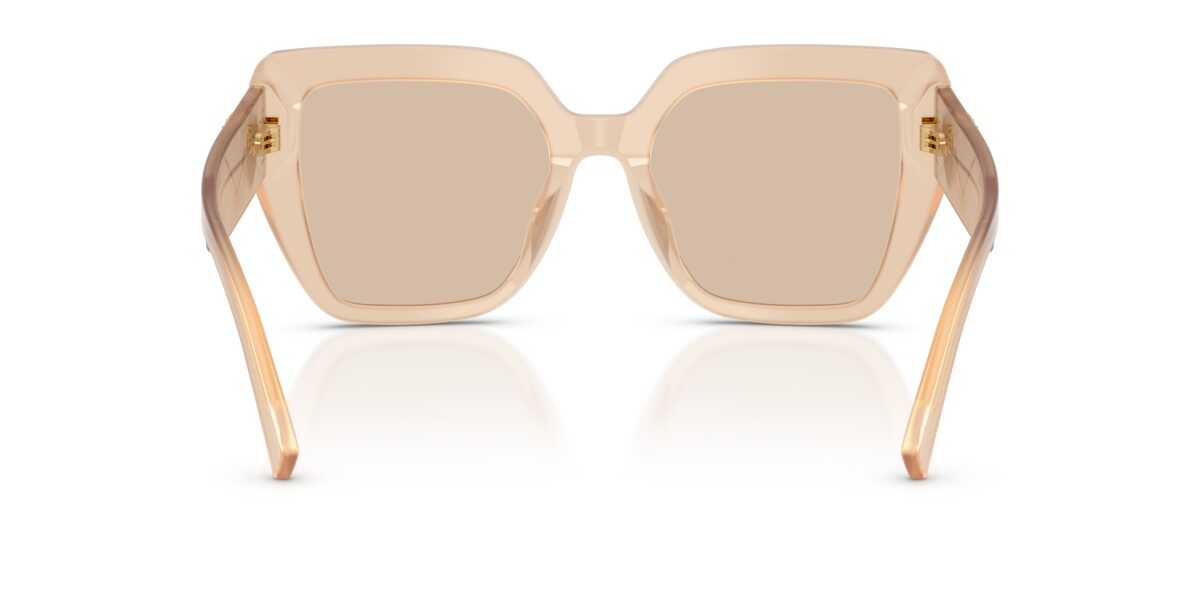 Dolce & Gabbana DG4538 308993