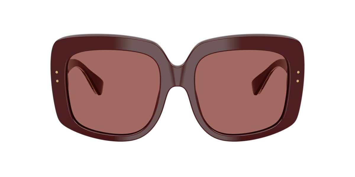 Dolce & Gabbana DG4557 309169