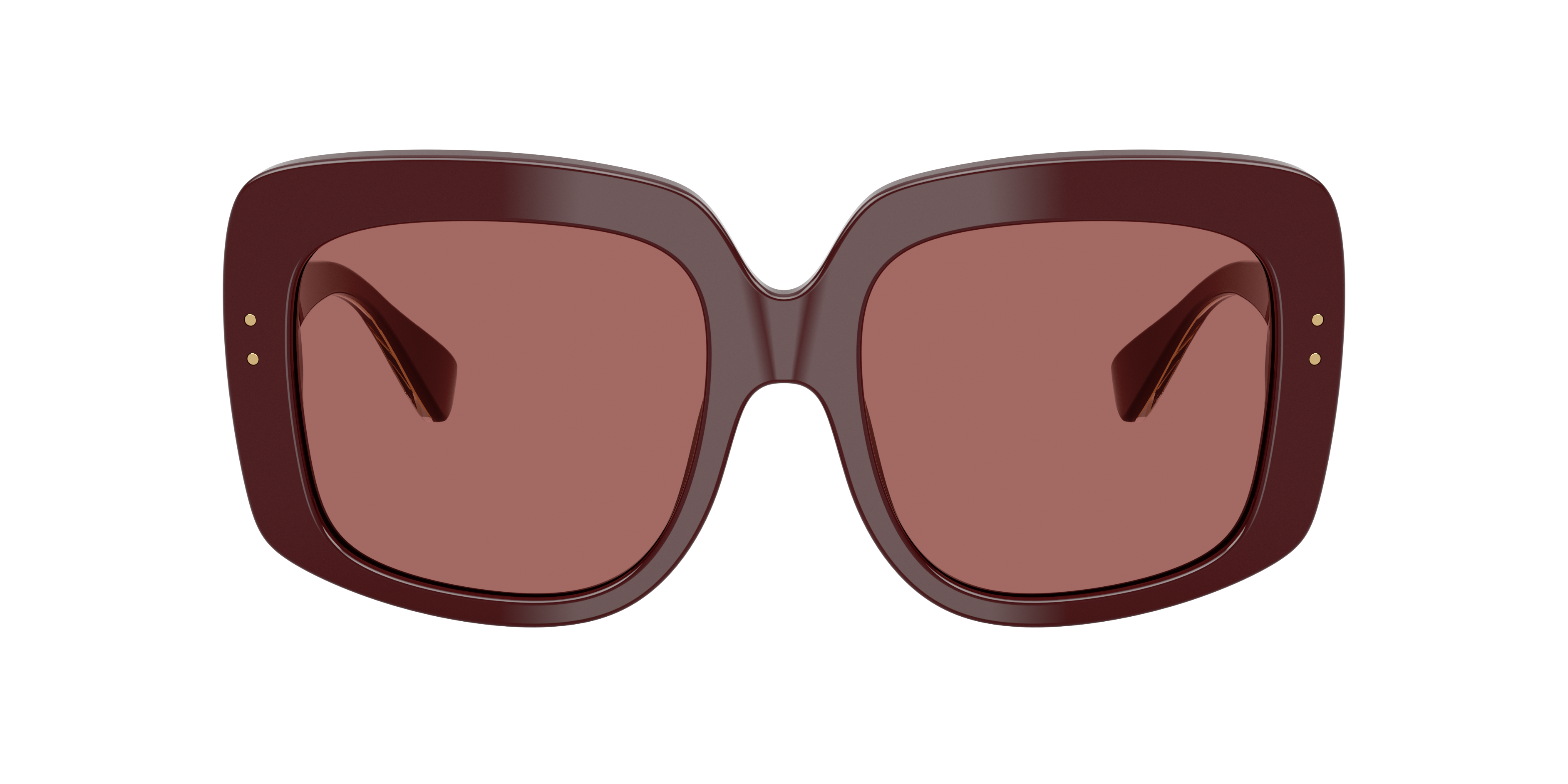Dolce & Gabbana DG4557 309169