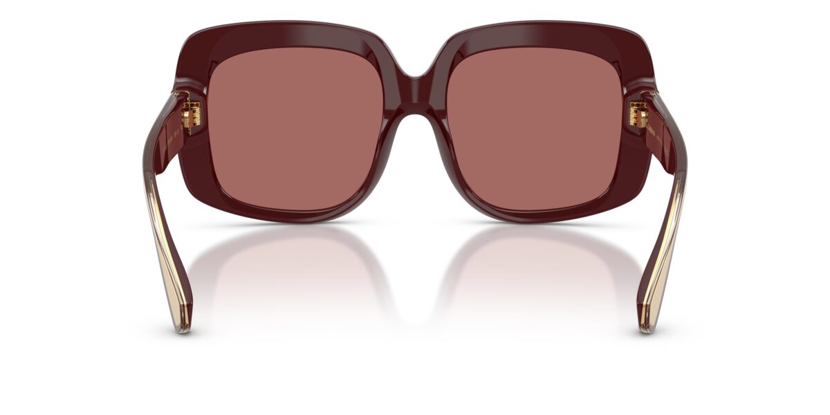 Dolce & Gabbana DG4557 309169