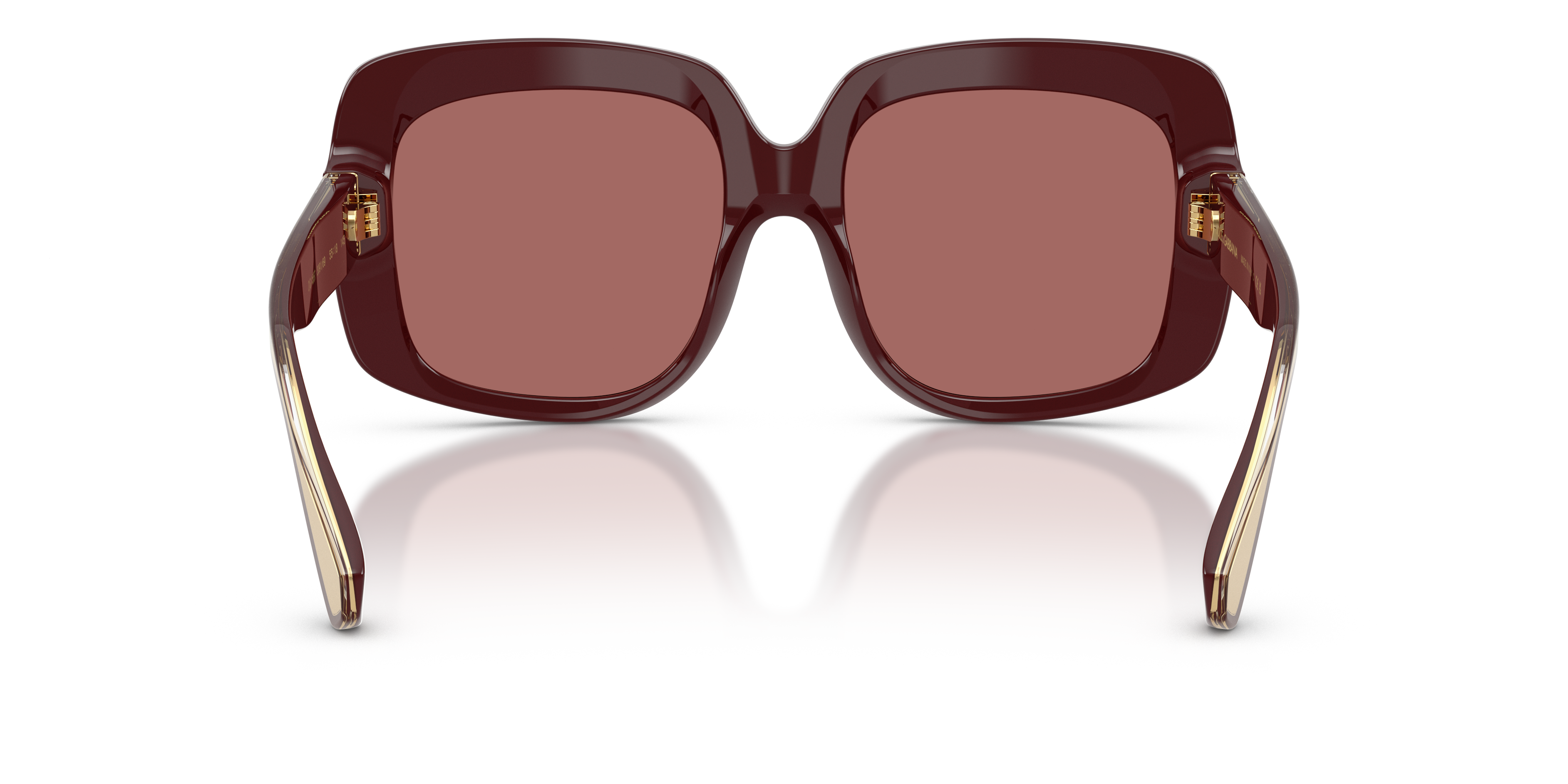 Dolce & Gabbana DG4557 309169