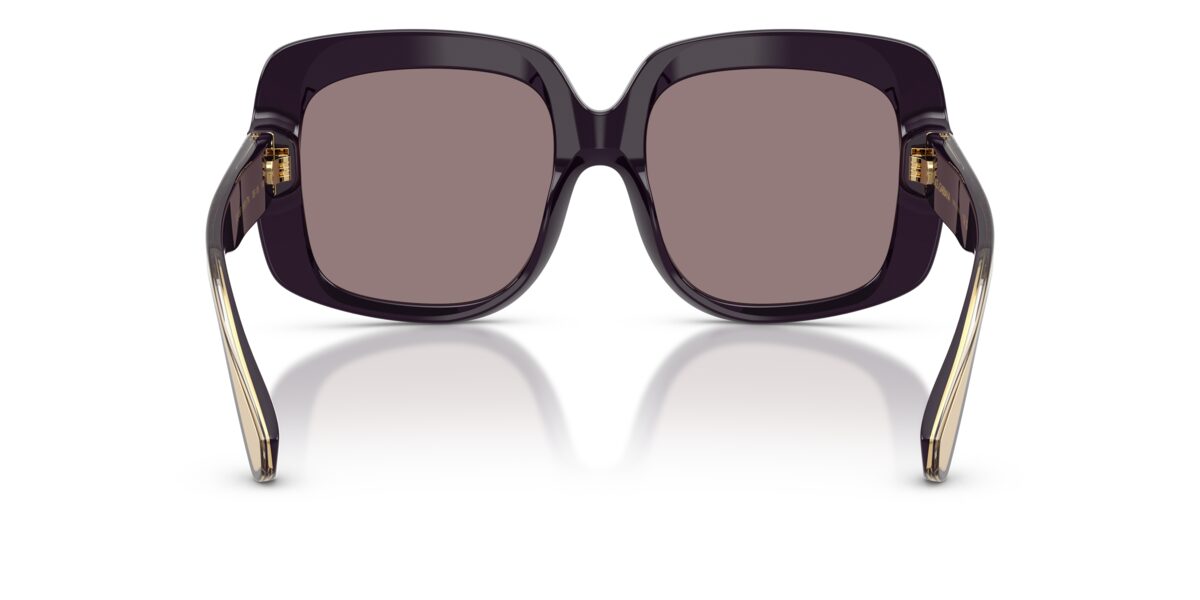 Dolce & Gabbana DG4557 35017N