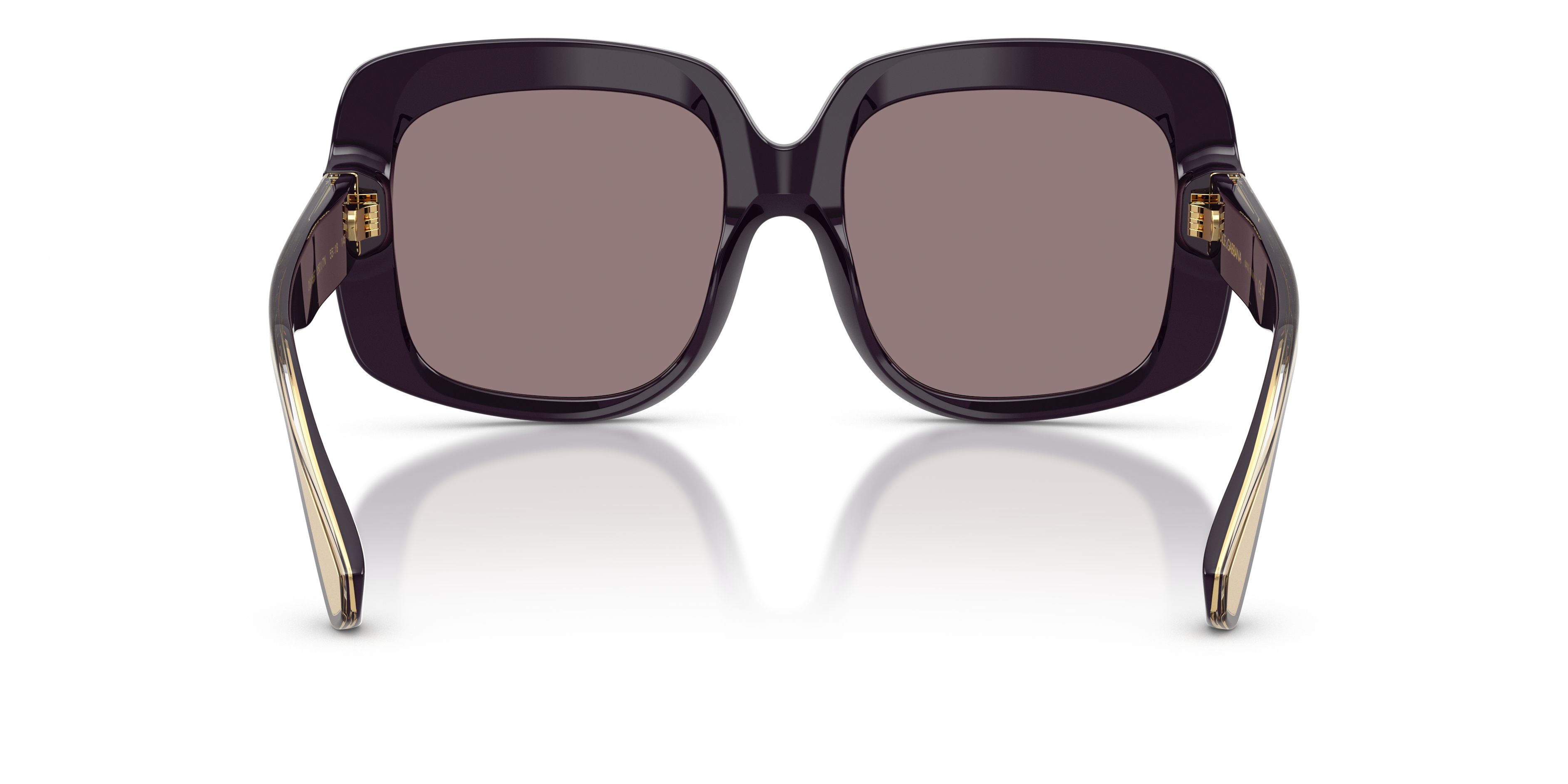 Dolce & Gabbana DG4557 35017N
