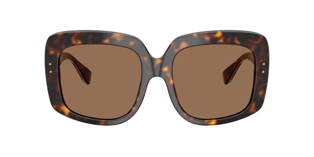 Dolce & Gabbana DG4557 502/73