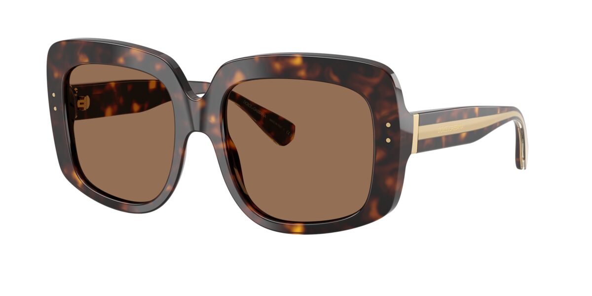 Dolce & Gabbana DG4557 502/73