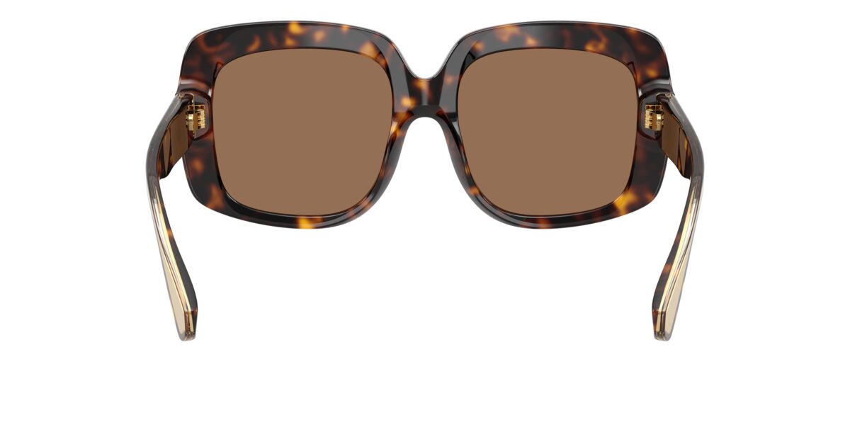 Dolce & Gabbana DG4557 502/73