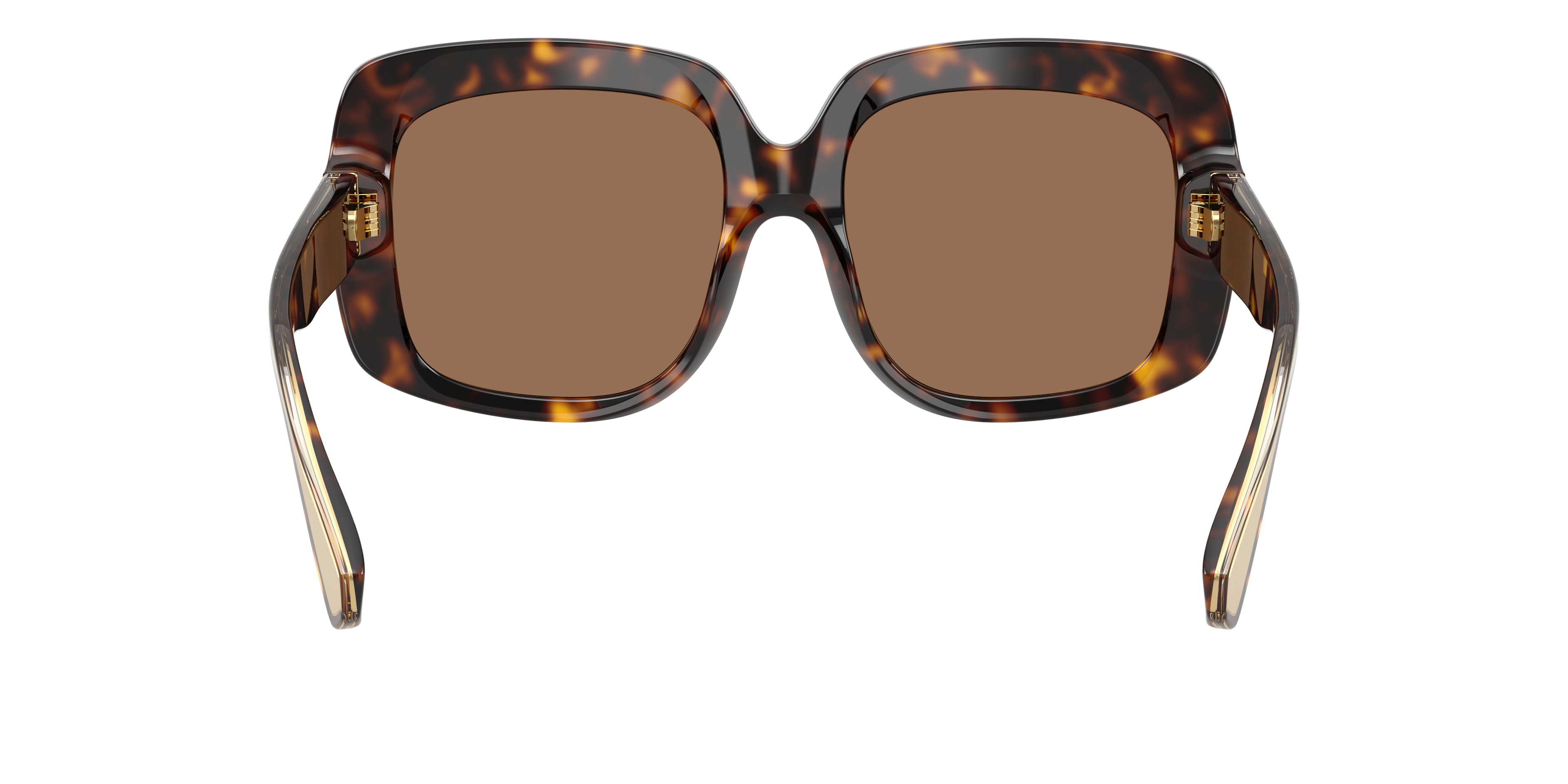 Dolce & Gabbana DG4557 502/73