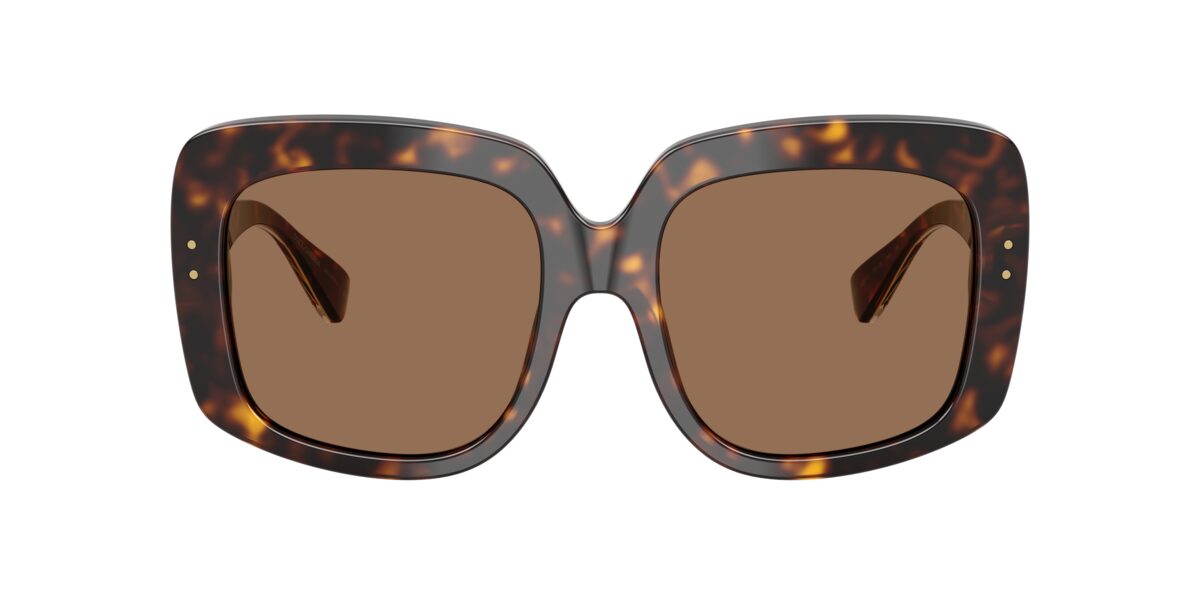 Dolce & Gabbana DG4557 502/73