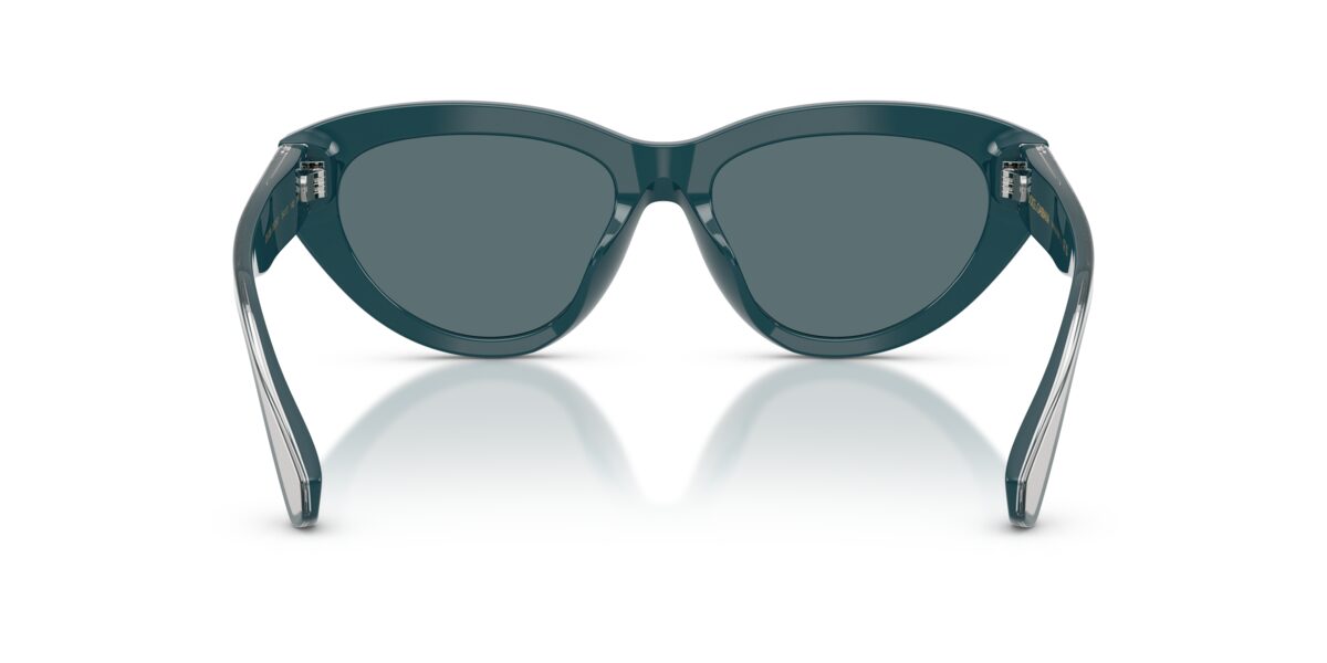 Dolce & Gabbana DG4558 350287