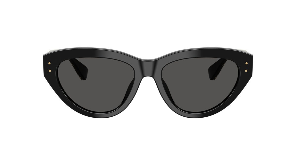 Dolce & Gabbana DG4558 501/87