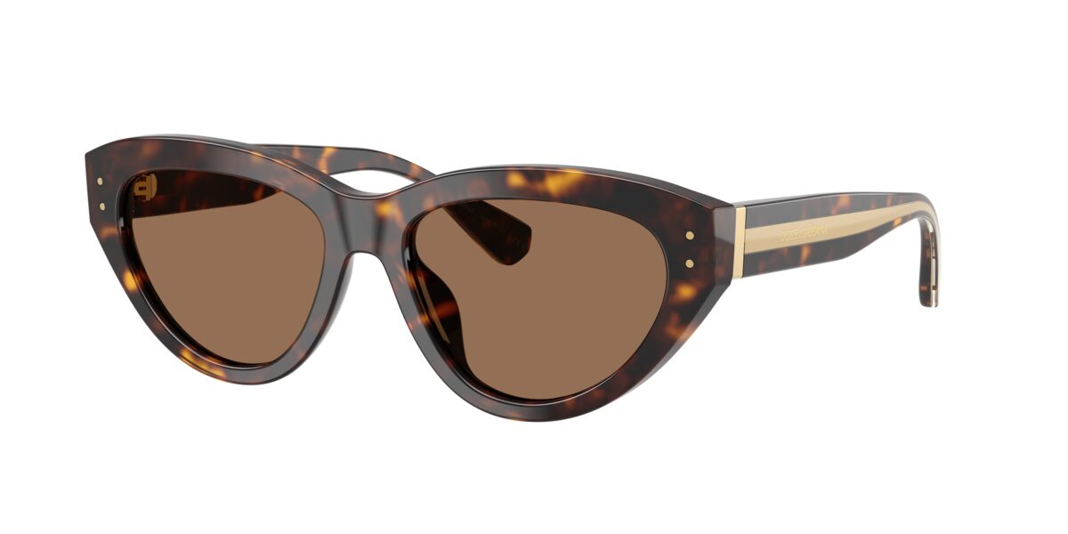 Dolce & Gabbana DG4558 502/73