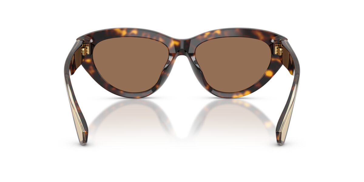 Dolce & Gabbana DG4558 502/73