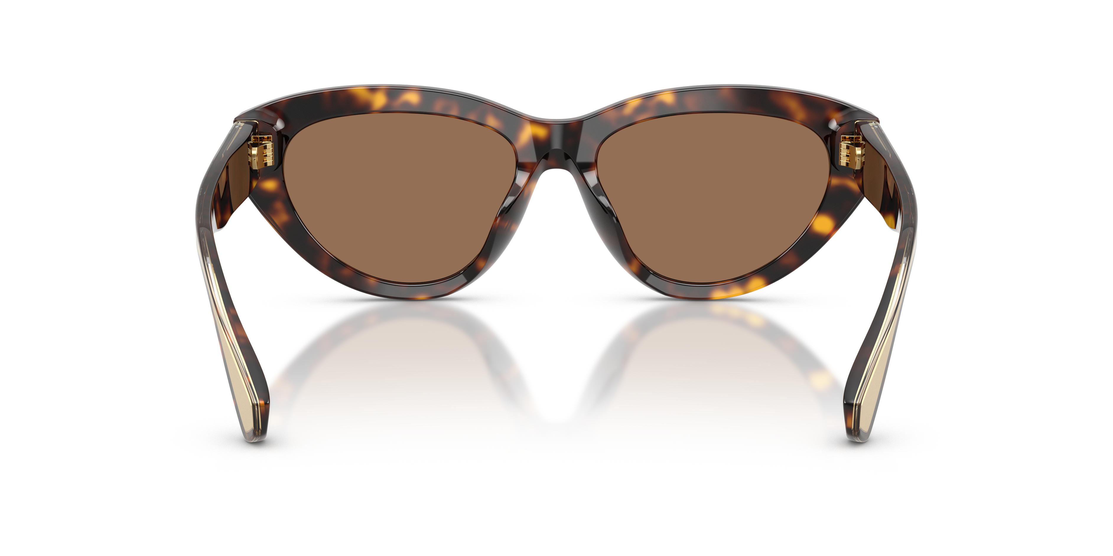 Dolce & Gabbana DG4558 502/73