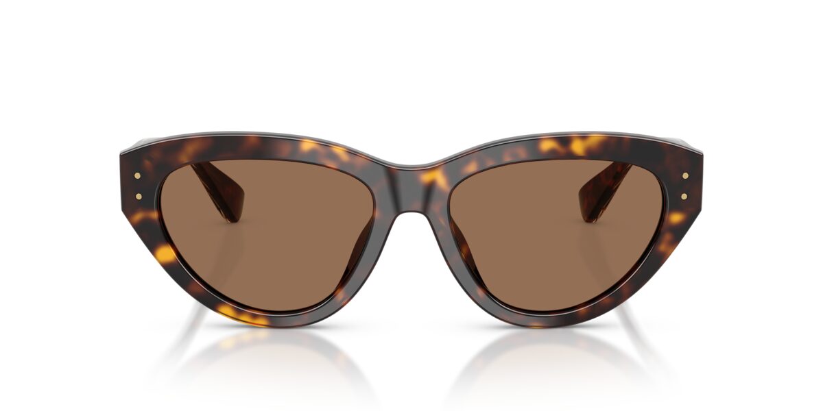 Dolce & Gabbana DG4558 502/73