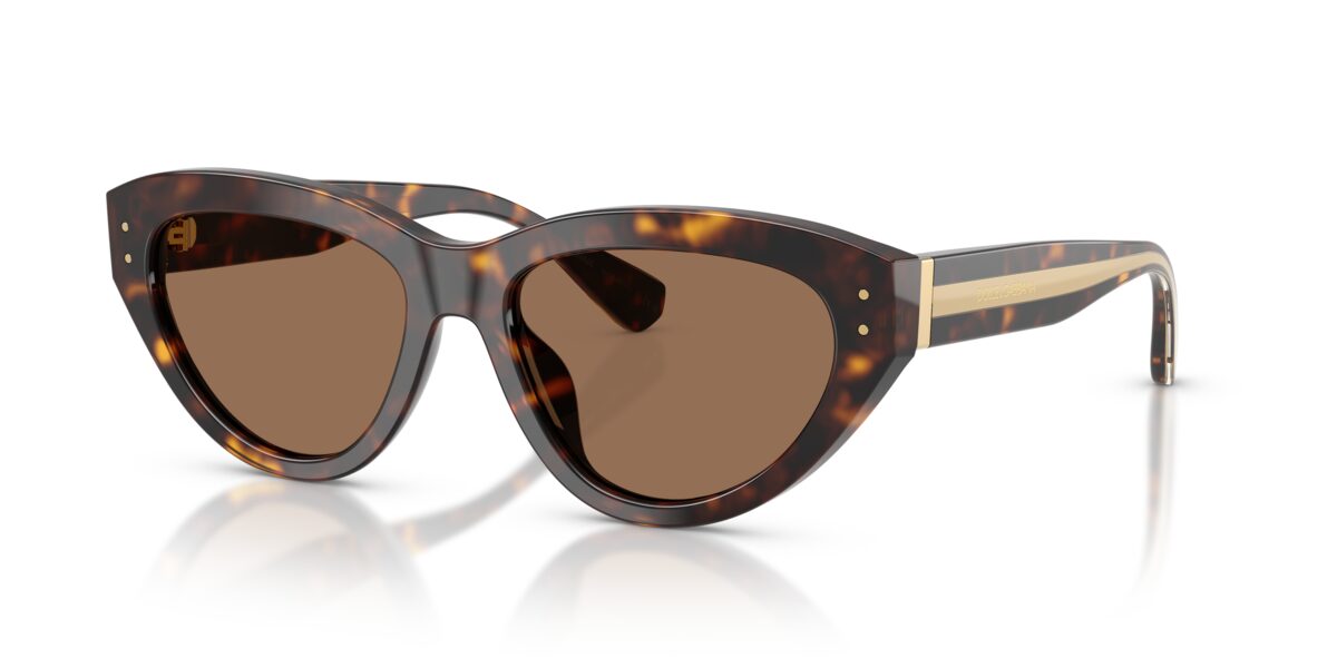 Dolce & Gabbana DG4558 502/73